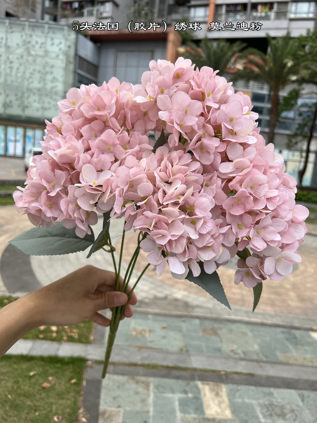 Wedding Decor Rose Dusty Pink  - Baby Rice Food ulasan dan harga