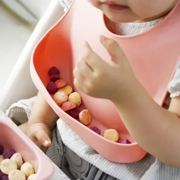 Food Grade Silicone Child Dish - Baby Food Dinner ulasan dan harga